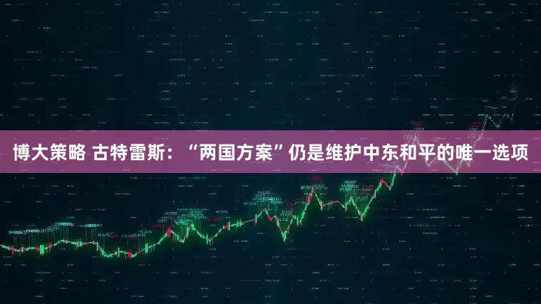 博大策略 古特雷斯：“两国方案”仍是维护中东和平的唯一选项